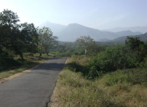 Anaimalai Hills – Tamil Nadu