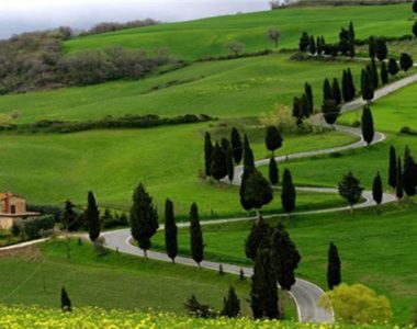 5 Reasons For Visiting Ooty