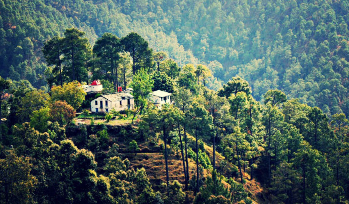 Binsar Hills – Uttarakhand