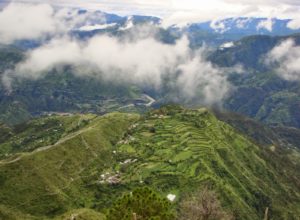 Chail Hills – Himachal Pradesh
