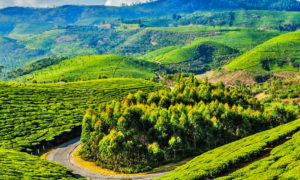 ' . get_the_title() . '