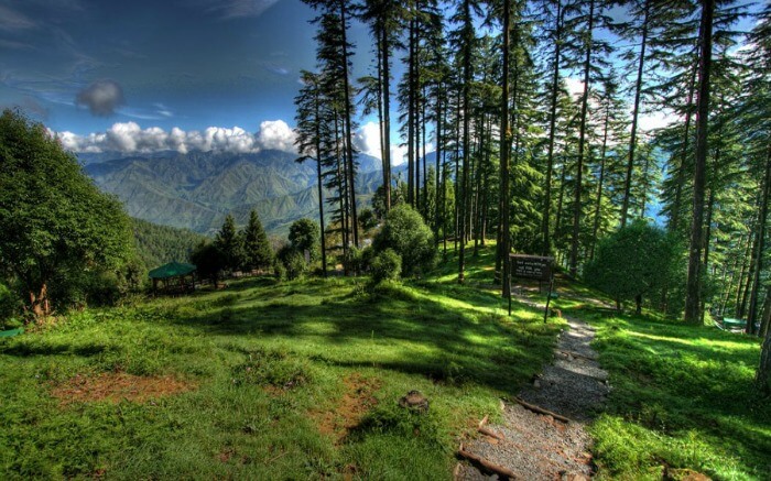 Dhanaulti Hills – Uttarakhand