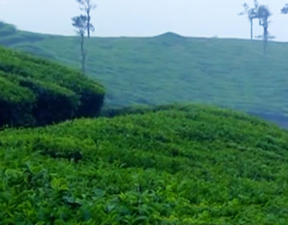 Idukki Hills – Kerala