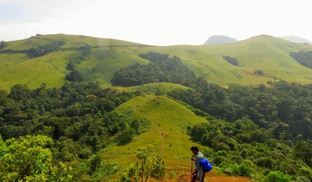 Kodachadri Hills – Karnataka