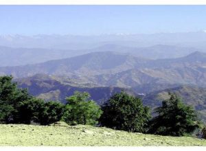 Kufri Hills – Himachal Pradesh