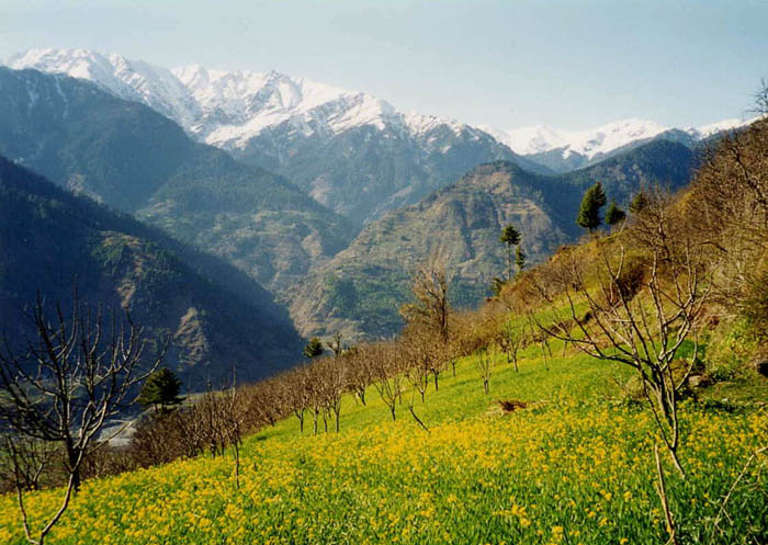 Kullu Hills – Himachal Pradesh