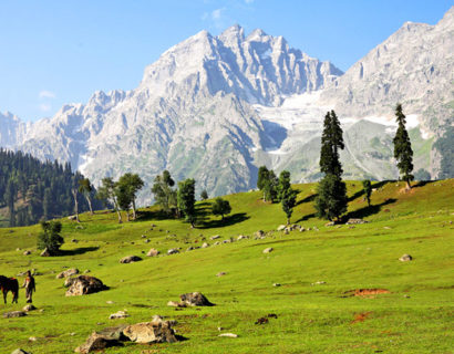 Pahalgam Hills – Jammu And Kashmir