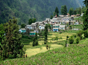 Ranikhet Hills – Uttarakhand