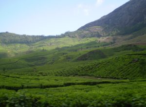 Thekkady Hills – Kerala