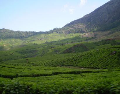 Thekkady Hills – Kerala