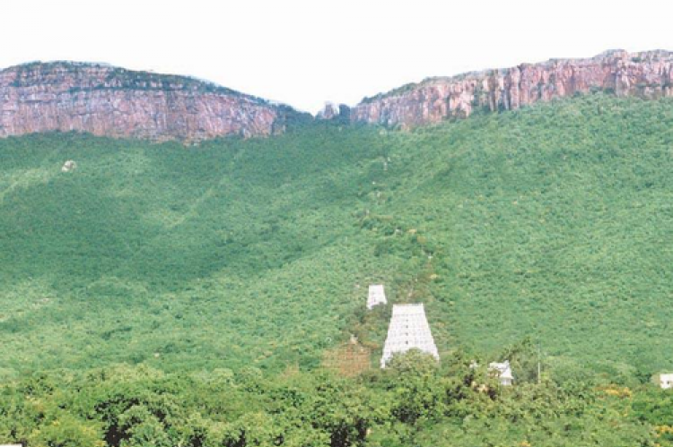 Tirumala Hills – Andhra Pradesh