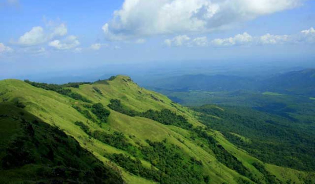 Wayanad Hills – Kerala