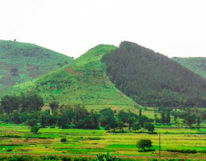 Araku Valley – Andhra Pradesh