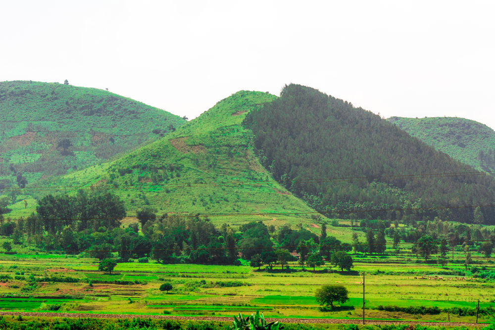 Araku Valley – Andhra Pradesh