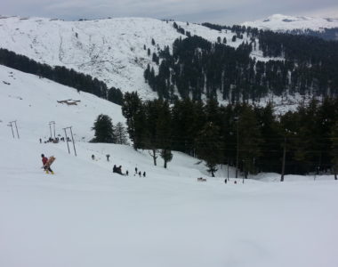 Snowfall in March! Patnitop
