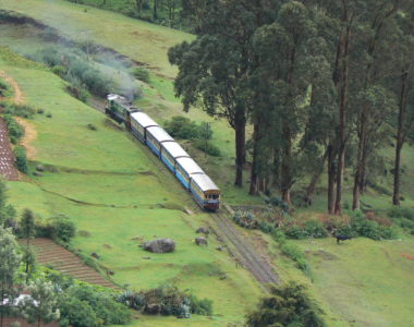 Train to Ooty: The Heritage Nilgiri Mountain Railway