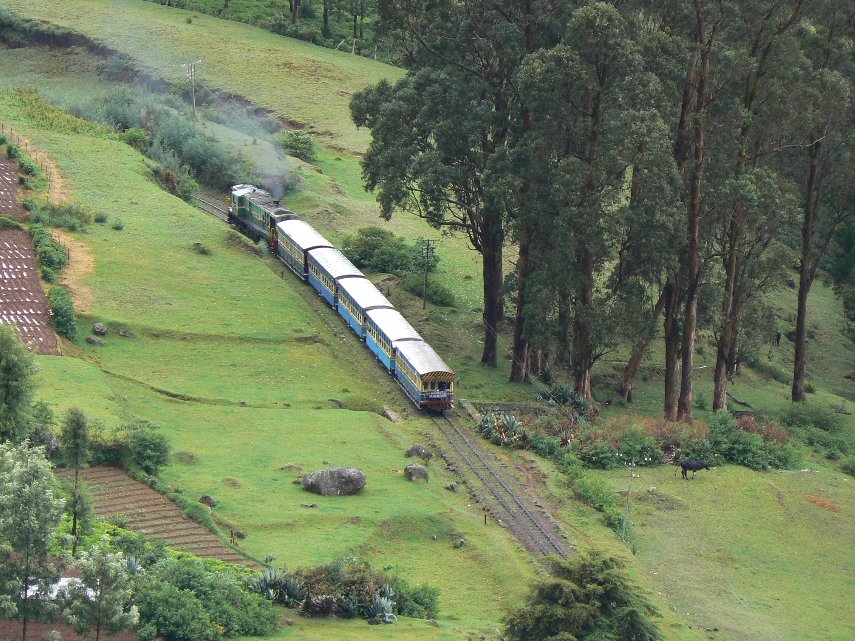 Train to Ooty: The Heritage Nilgiri Mountain Railway