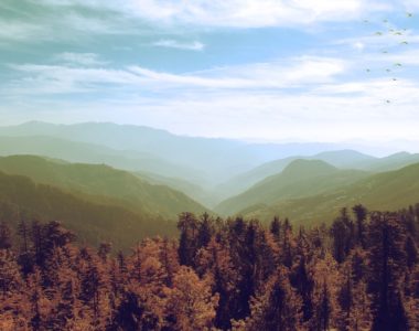 What Makes Kufri Such A Mesmerizing Indian Hill Station?