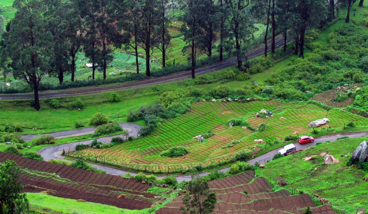 Why Is Ooty Called The “Queen Of Hill Stations” In India?